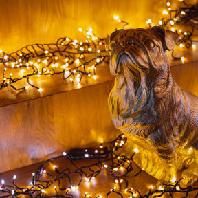 Światła LED z wyraźną soczewką konkawną 240V