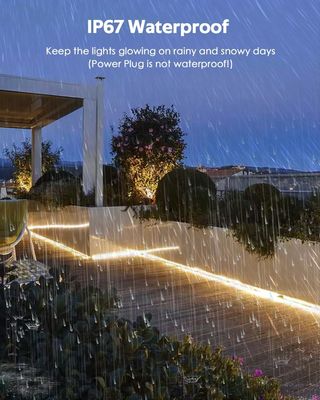 4.3mm Adresable LED Light Strip Series dla kolorowego oświetlenia domowego