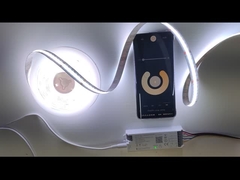 RoHS Certyfikowany serii światła LED w długości 6,5 stóp z ciepłym białym kolorem