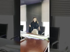 Najnowsza technologia LED Elastyczny przezroczysty ekran