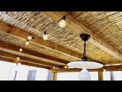 Światło słoneczne ST38